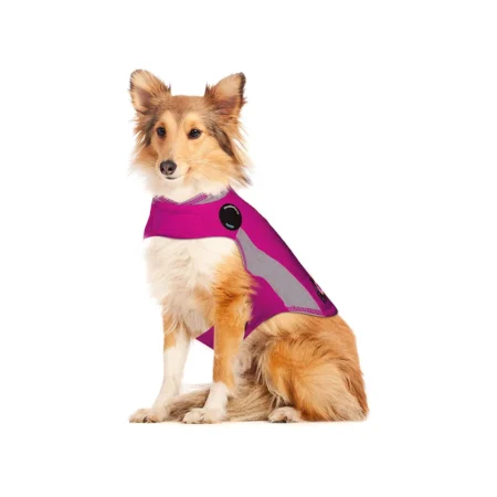 لباس پشمی سگ