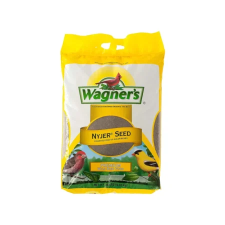 غذای پرندگان